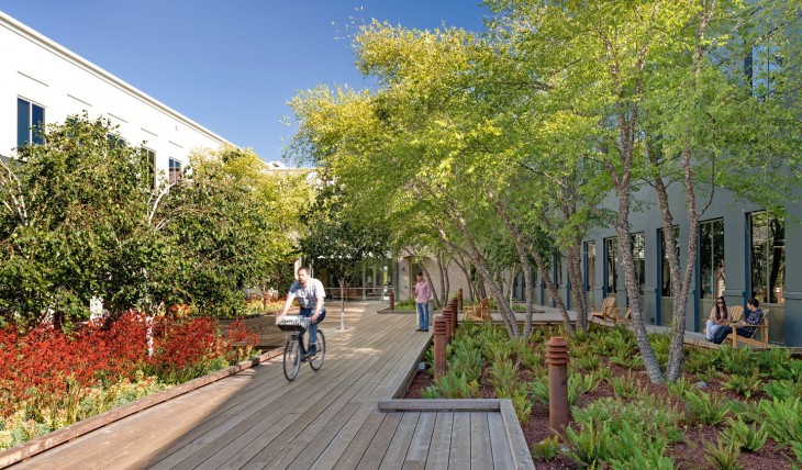 bicicleta en jardin