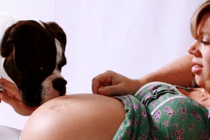 perro oliendo una panza de una señora embarazada