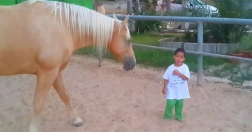 que pasa cuando un niño con sindrome de williams convive con un caballo