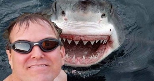 las mejores selfies con animales