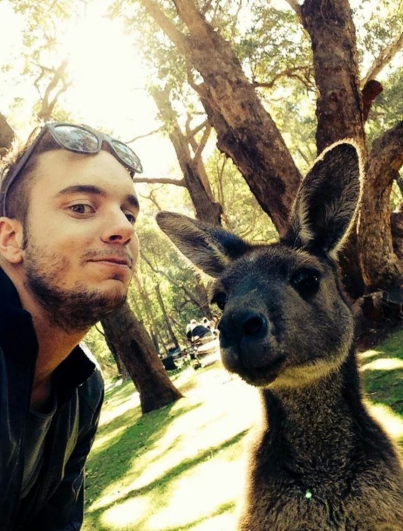 selfie con un gracioso animal