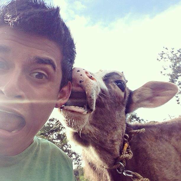selfie con un gracioso animal