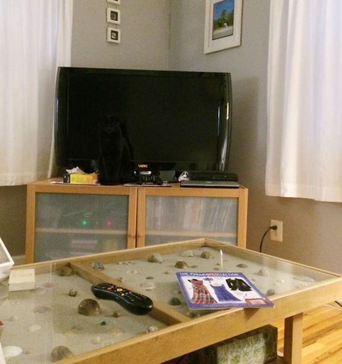 gato negro escondido con un televisor negro