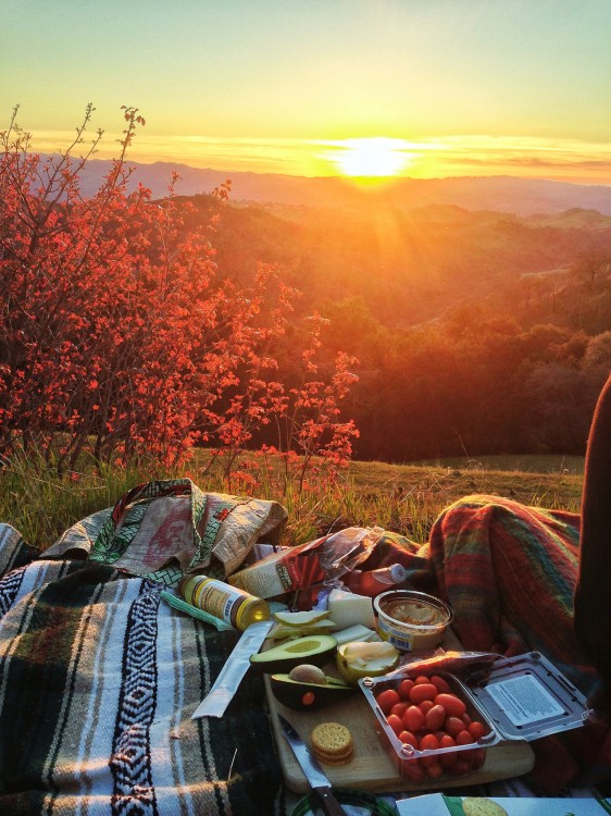 Picnic en un campo mientras se está poniendo el sola