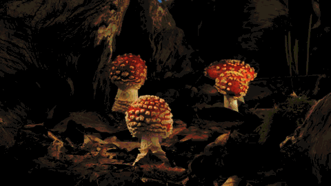 hongos con caperecha roja y lunares blancos creciendo en imagen animada