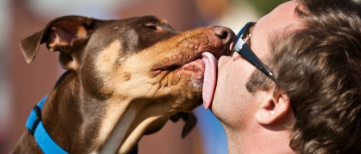 perro dandole un lenguetazo a su amo que usa lentes