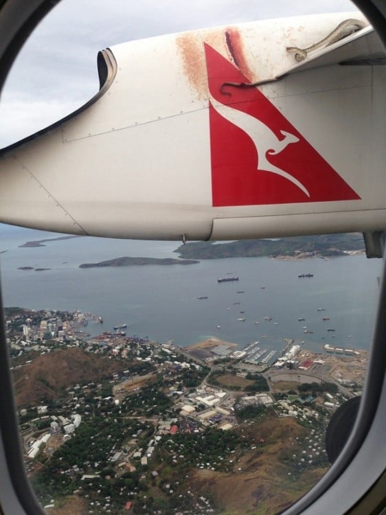 serpientes en el ala de un avión 