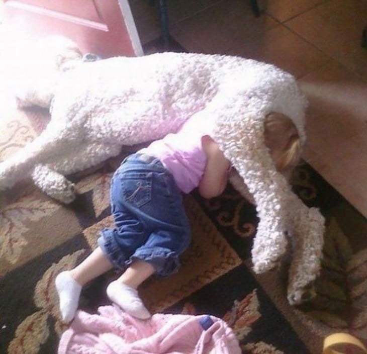 Perro gigante acostado arriba de su pequeña dueña 