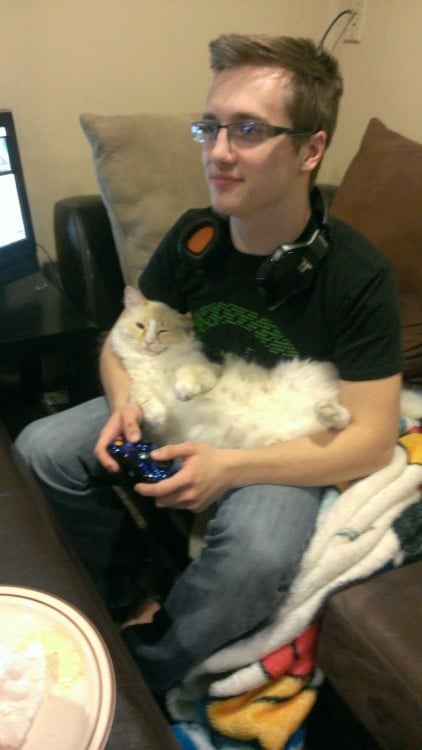 Gato en el regazo de su amo mientras juega vídeo juegos 