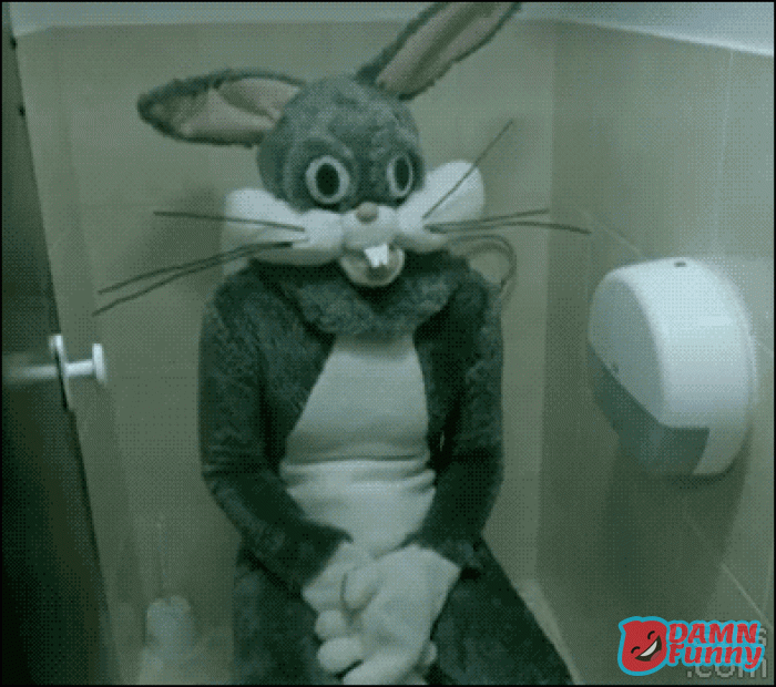 bugs bunny en un baño público