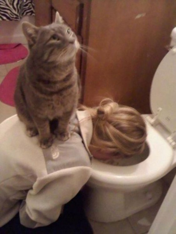 gato apolyado sobre la espalda de chca vomitando