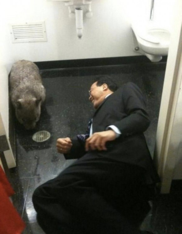 japones acostado en un baño público juega con un animal