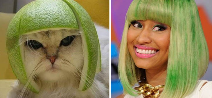 Gato con peluca se parece a Nicky Minaj 