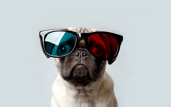 Pug con lentes para ver en 3D