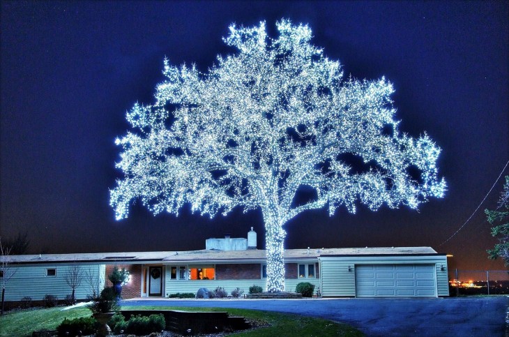 árbol de navidad iluminado 