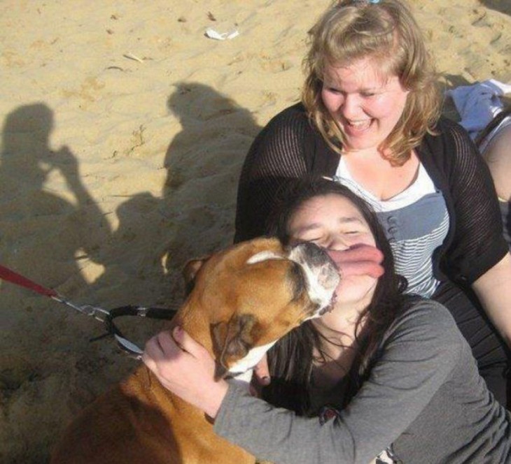 perro boxer con lengua gigante