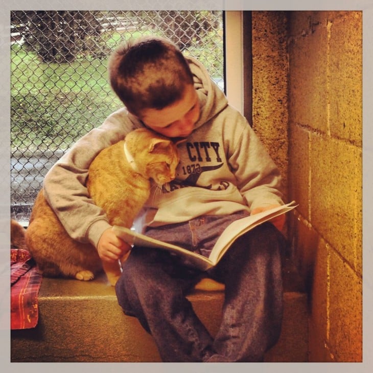 Gato bajo el brazo de un niño viendo hacia abajo a un libro 