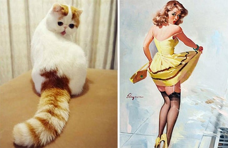 Gatito Pin Up