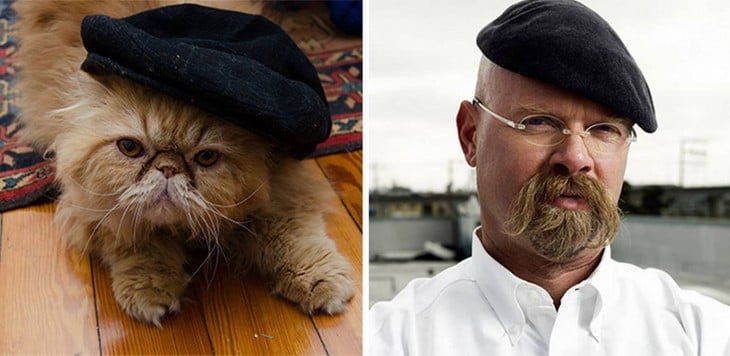 Gatos Que Se Parecen A J amie de Mythbusters