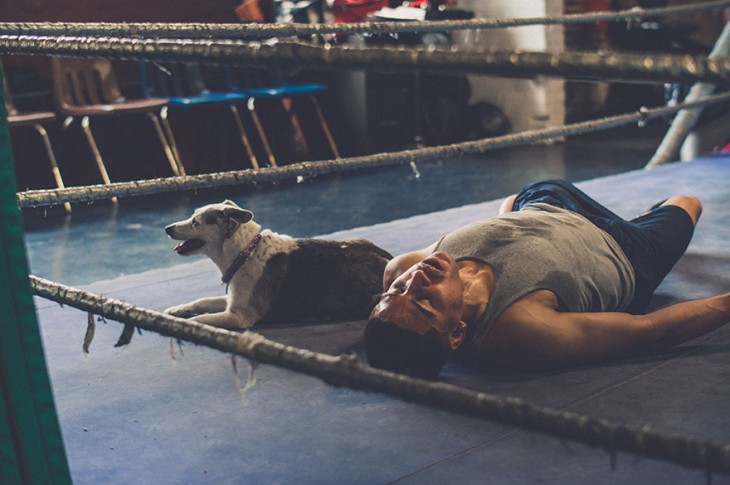 Un perro y un joven que entrena en un gimnasio 