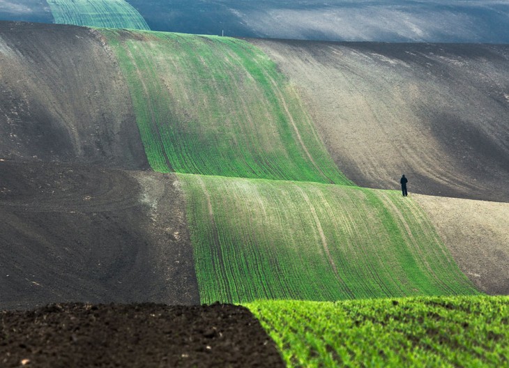 Un hombre sobre los campos de Polonia caminando hacia la cima 