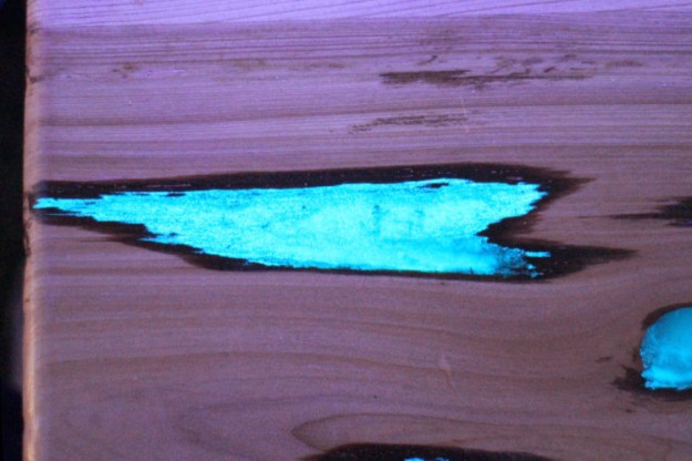 Imagen que muestra de cerca un hoyo de la mesa que brilla en la oscuridad 