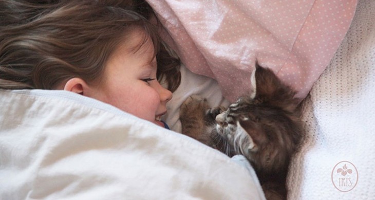 Niña sonriendo junto a su gato en una cama tapada hasta la cabeza 