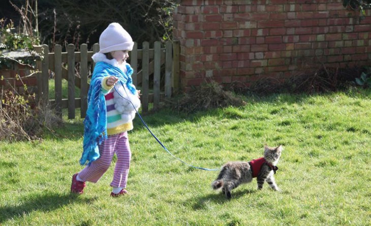 Niña jalando su gato con una correa por el pasto 