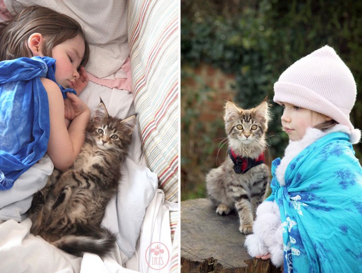 Separación de una imagen en dos partes con una niña y su gato 