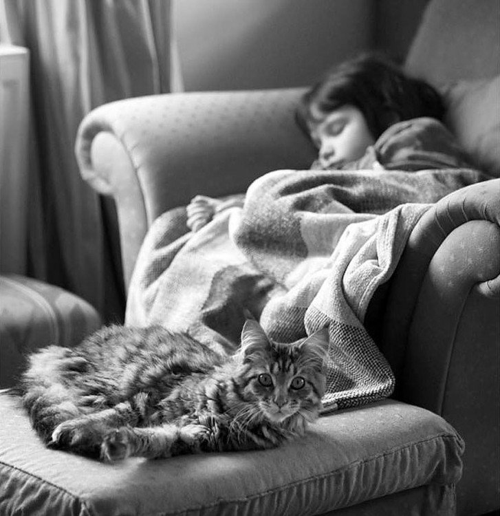 Niña dormida sobre un sofá y el gato a sus pies recostado 