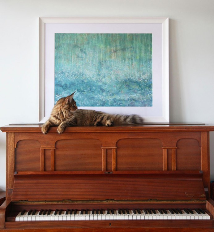 Gato sobre un piano 