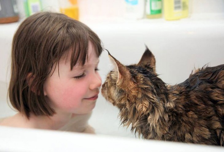 Niña en la tina de baño frente a su gato 