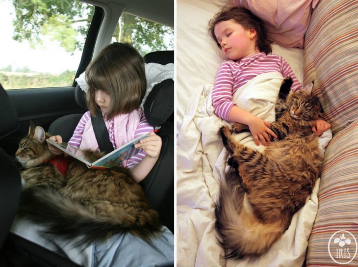 Imagen dividida en dos partes con una niña y su gato leyendo un libro en un coche y la otra la niña y su gato durmiendo
