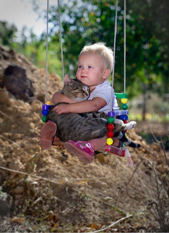 Niño sobre un columpio y con un gato en sus brazos 