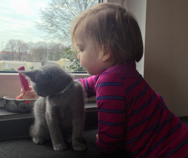 Niña jugando con su gato frente a una ventana 