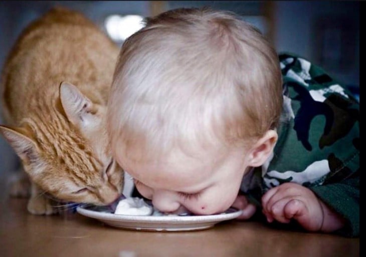Niño con su gato comiendo del mismo plato 