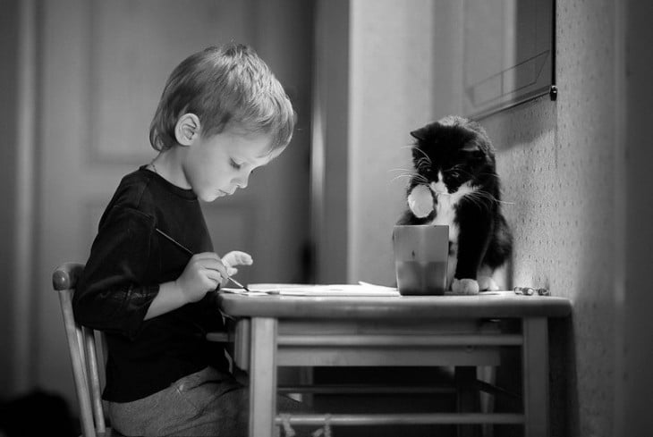 Niño pintando con un gato frente a él en una mesa 