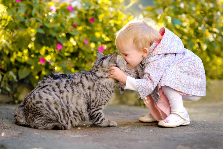 Niña dando un beso a un gatito en un patio 