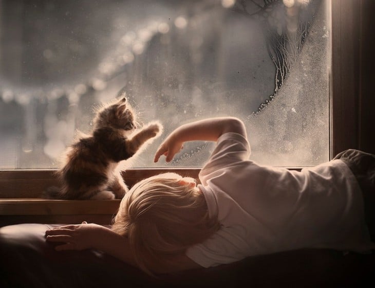 Un niño y su gato frente a una ventana 