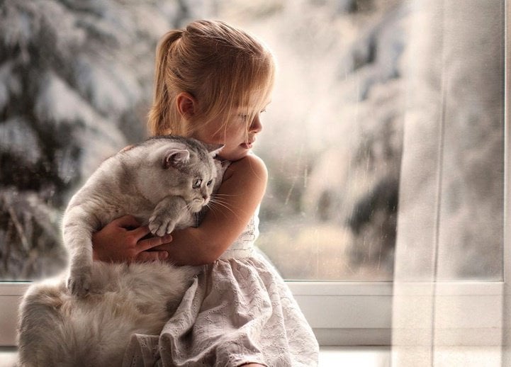 niña abrazando a su gato frente a una ventana 