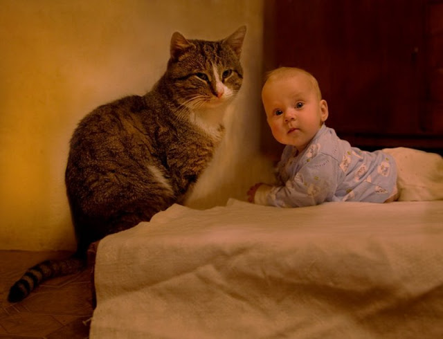30 tiernas fotografías de niños con sus gatos