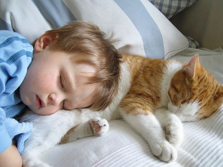 niño dormido sobre su gato en una cama 
