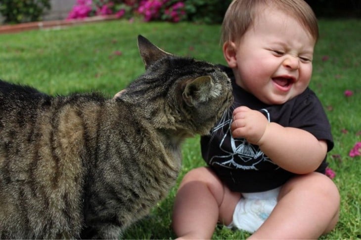 Niño junto a su gato en un jardín 