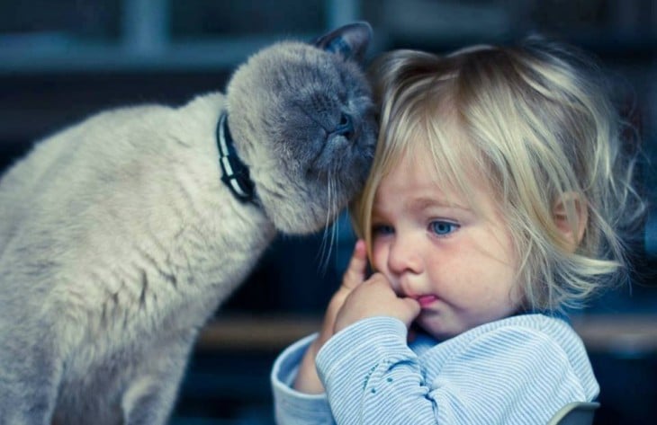 Una niña y su gato juntando sus cabezas 