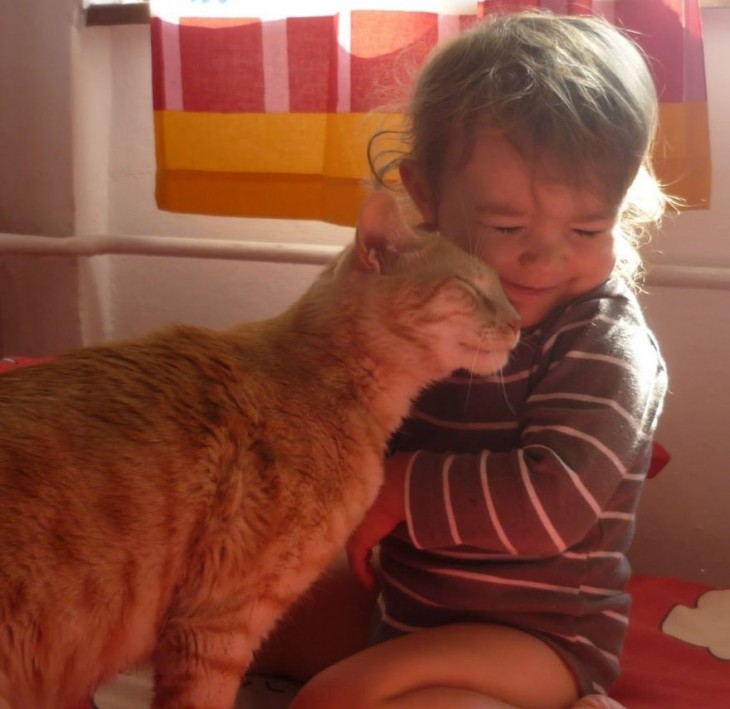 Gato poniendo su cabeza en la cara de una niña 