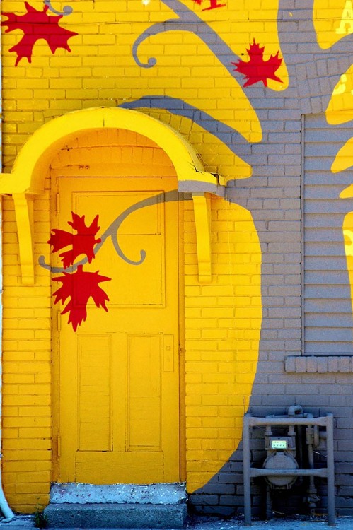 Puerta pintada en color amarillo que tiene un seguimiento de un árbol pintado en la pared con hojas parecidas a la bandera