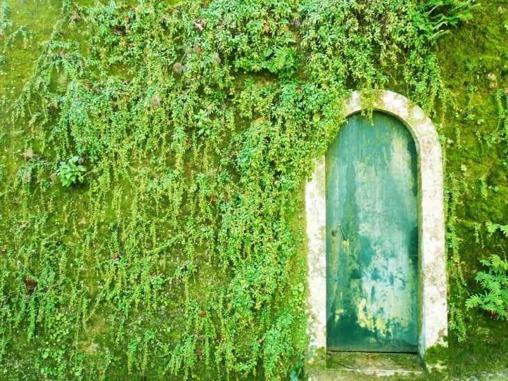 Puerta en color verde con forma de arco, entre paredes verdes que parecen ser pasto 