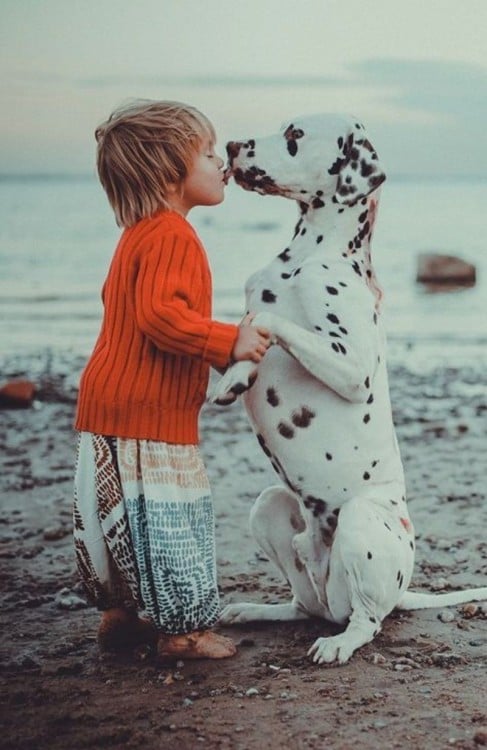 Niña besando a su perro dalmata 