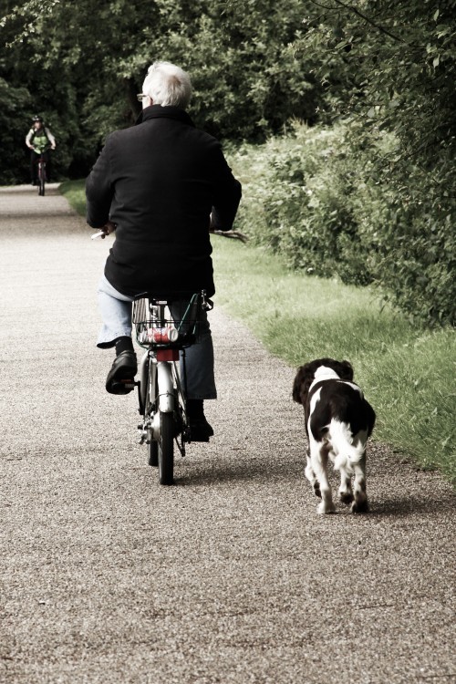 Hombre mayor en bicicleta con su perro de lado 