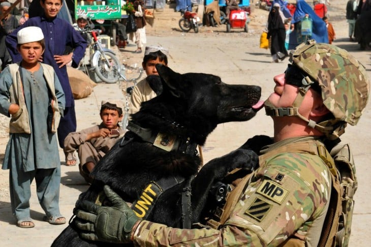perro negro besando a un soldado 